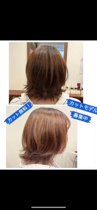 ミディアム カット無料　カット モデル募集中　網谷のヘアスタイル