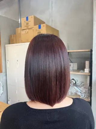 カラー 田中 萌のヘアスタイル