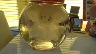 メナード水戸見川店　MENARD所属・黒坂 リカのその他イメージ