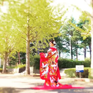 HIKARI a.k.a 神童♡のエステ・リラクイメージ