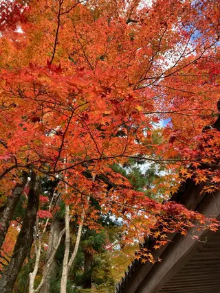 ポーラザビューティー 松原店のエステ・リラクイメージ