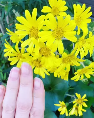 メンズ ネイル ハンドケア&ネイルケア桃の木所属・ケアリスト🍀 マリユキのネイルデザイン