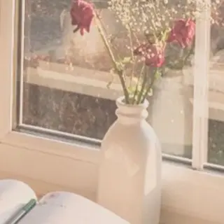 Eye Salon "Koa"【コア】所属・Eye Salon /まつ毛/眉毛のマツエク・マツパデザイン