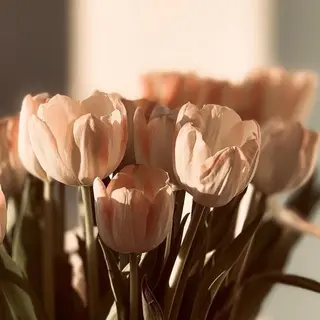 マツエク・マツパ miien(SALONVILLAGE内)所属・MOE /渋谷・明治神宮前のマツエク・マツパデザイン