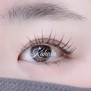 マツエク・マツパ R🌹 ⁺⊹˚.のマツエク・マツパデザイン