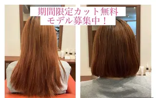 ミディアム カット無料　カット モデル募集中　網谷のヘアスタイル