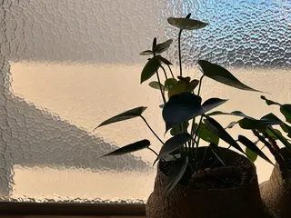 Born to be yoga&relaxのエステ・リラクイメージ