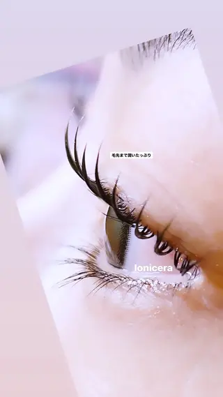 マツエク・マツパ ロニセラ アイラッシュのマツエク・マツパデザイン