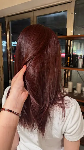 ロング カラー レイヤー/ボブ /🦋Ayana🦋のヘアスタイル