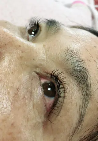 マツエク・マツパ Hug me eyelashのマツエク・マツパデザイン