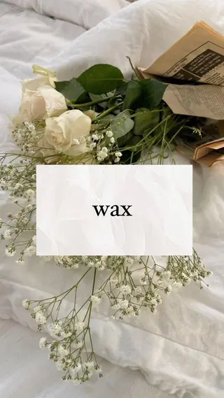 アイブロウ mona 🎀韓国まつパ/眉毛のマツエク・マツパデザイン