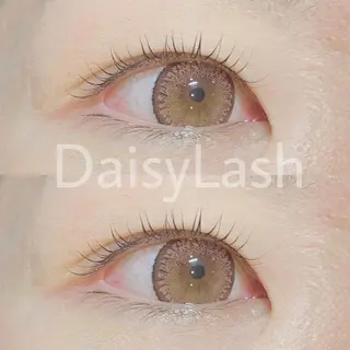 マツエク・マツパ DaisyLash 京橋店のマツエク・マツパデザイン