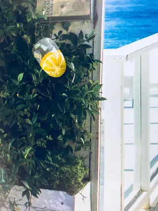 ネイル gui amichantoco所属・gui amichanのネイルデザイン