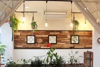 Una Casita所属・高橋 雅人のマツエク・マツパデザイン