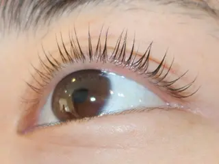 マツエク・マツパ ReposMilia ボリュームラッシュのマツエク・マツパデザイン