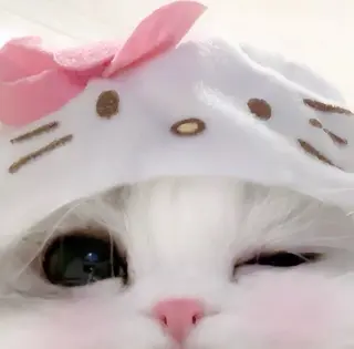 マツエク・マツパ eyelist. mizukiの眉毛・アイブロウイメージ