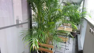 ライトビューティー 池袋店のその他イメージ