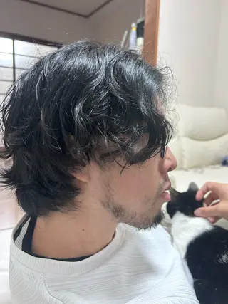 ミディアム パーマ メンズ SALOWIN 新宿三丁目me+所属・レイヤーカット/ボブ /髪質改善/ハルカのヘアスタイル
