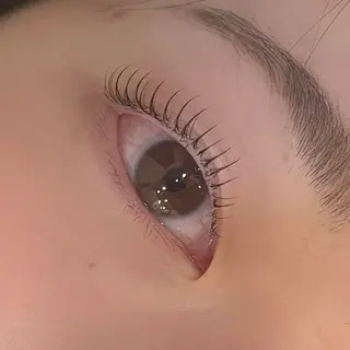 マツエク・マツパ THE CHIC所属・sigehiro ayumiの眉毛・アイブロウイメージ