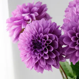 エステサロンmarry所属・エステサロン marryのエステ・リラクイメージ