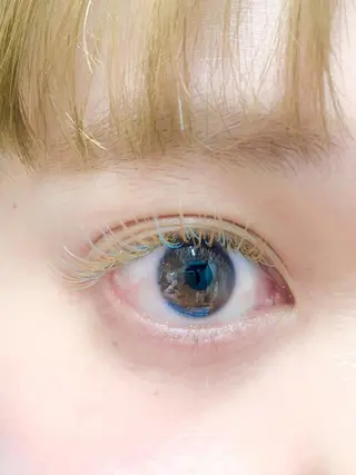 マツエク・マツパ アイブロウ/まつぱ T-lash恵比寿店のマツエク・マツパデザイン