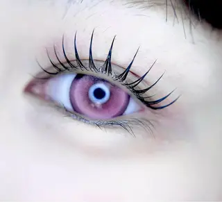 マツエク・マツパ eyelist. mizuki🐈⬛の眉毛・アイブロウイメージ