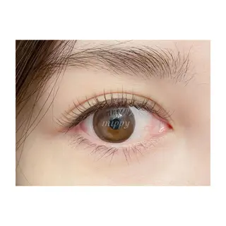 マツエク・マツパ ｍｉｐｐｙ 🪽のマツエク・マツパデザイン