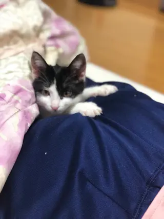 メナードフェイシャルサロン高崎倉賀野店所属・メナード山口 陽子のエステ・リラクイメージ