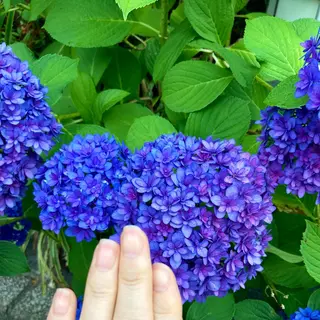 メンズ ネイル ハンドケア&ネイルケア桃の木所属・ケアリスト🍀 マリユキのネイルデザイン