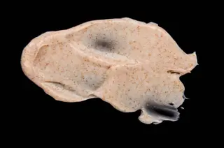 Amv. mananoのエステ・リラクイメージ