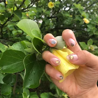 ネイル エレン 南越谷のネイルデザイン