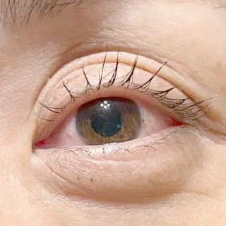 マツエク・マツパ 目黒　フリヴィ 🤎HIROMIのマツエク・マツパデザイン