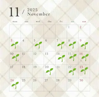 阿部 史奈のヘアスタイル