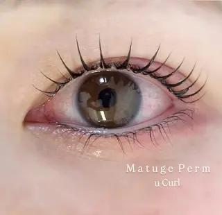 マツエク・マツパ LORAN_ Ayamiの眉毛・アイブロウイメージ