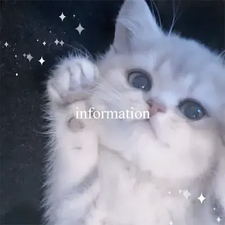 ネイル ému .Otohaのネイルデザイン