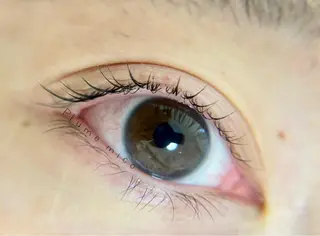 マツエク・マツパ Plume micoのマツエク・マツパデザイン