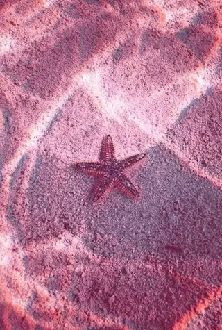 ブラジリアン☆WAX 🎖🌚YUKI🌚のエステ・リラクイメージ