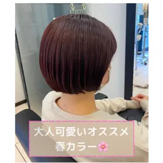 ショート YASU🍎CUT 赤系カラー/ヘアケアのヘアスタイル