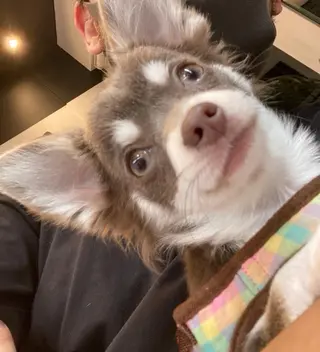 ショート 髪質改善🇰🇷 店長🇰🇷keiのヘアスタイル