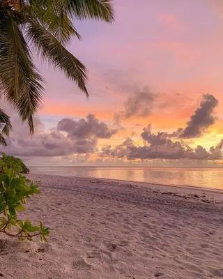 ๐๐๐๐๐ ๐๐๐๐ใฎใใใจใฏใปใใใใใถใคใณ