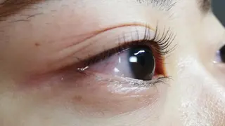 マツエク・マツパ angelux 所属・完全個室サロン🌹 angelux🌹のマツエク・マツパデザイン