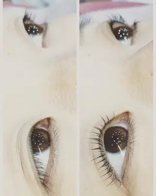 マツエク・マツパ MAK’s 草加店スタッフのネイルデザイン