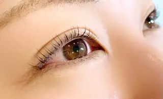 マツエク・マツパ Dolce eye lash ねごろのマツエク・マツパデザイン