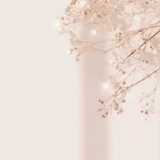 ゆ きのネイルデザイン