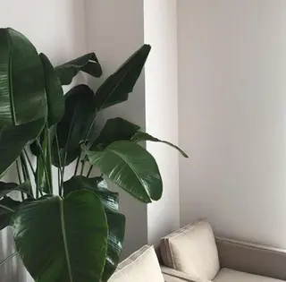 IwAsh  大和駅店所属・shiho .のヘアスタイル