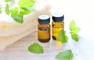 美と健康の専門家 さいとうゆうこのエステ・リラクイメージ