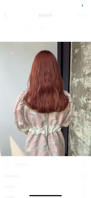 ロング カラー 🎀taro ブリーチなしカラーのヘアスタイル