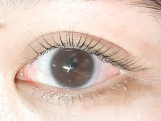 ãããšã¯ã»ããã ðððð ã¢ã€ãªã¹ã â€ïžã®ãããšã¯ã»ããããã¶ã€ã³