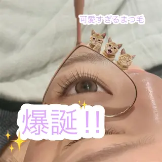 マツエク・マツパ cuinca柏店🧸 honokaのマツエク・マツパデザイン