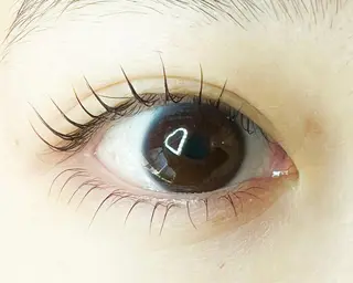 マツエク・マツパ Celeste Venus所属・🧸Celeste Venusのマツエク・マツパデザイン